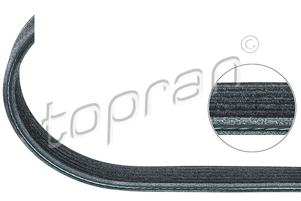 Cinghia Poly-V - 109 865 TOPRAN