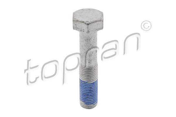 skriemulio varžtas - 723 934 TOPRAN