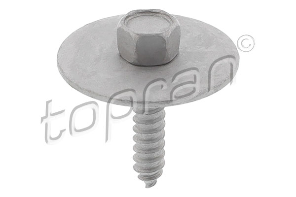 Bullone/Vite - 410 286 TOPRAN
