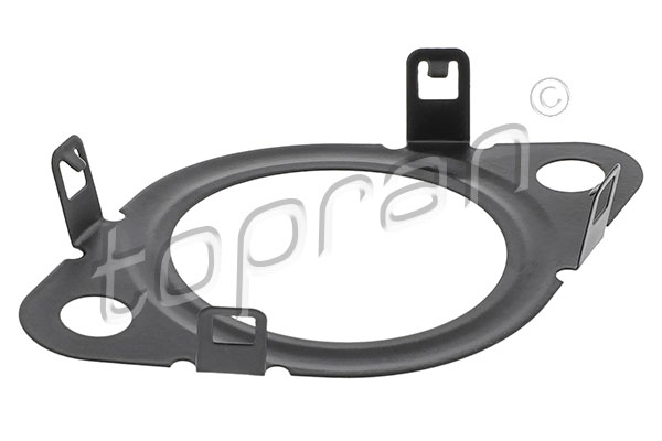 Seal, EGR valve - 601 396 TOPRAN