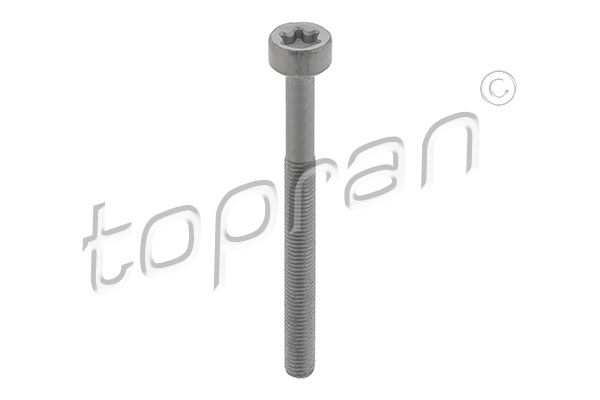 Bullone, Supporto iniettore - 410 287 TOPRAN