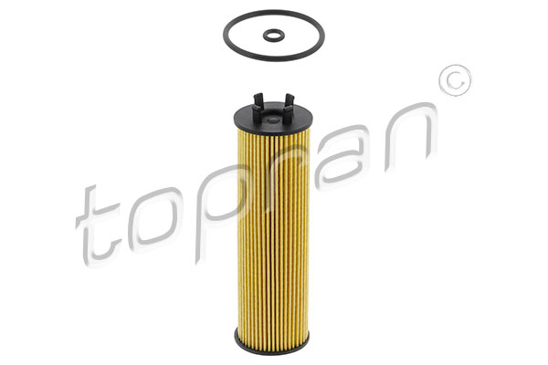 Oil Filter - 119 698 TOPRAN