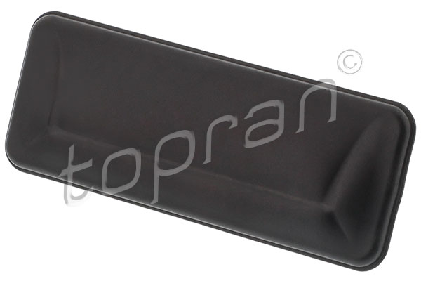 Tailgate Handle - 120 201 TOPRAN