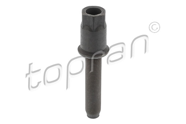 skriemulio varžtas - 504 091 TOPRAN