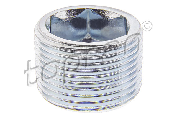 Screw Plug, transmission housing - 115 346 TOPRAN