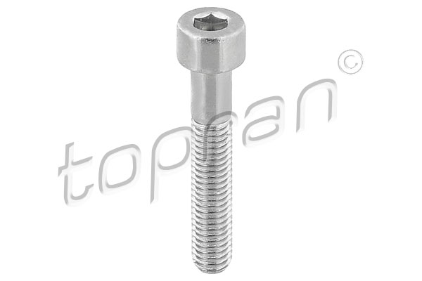 Bolt, brake caliper - 110 708 TOPRAN