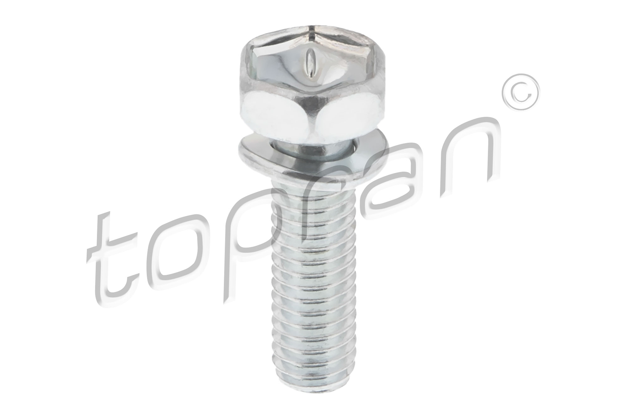 Bullone/Vite - 120 976 TOPRAN
