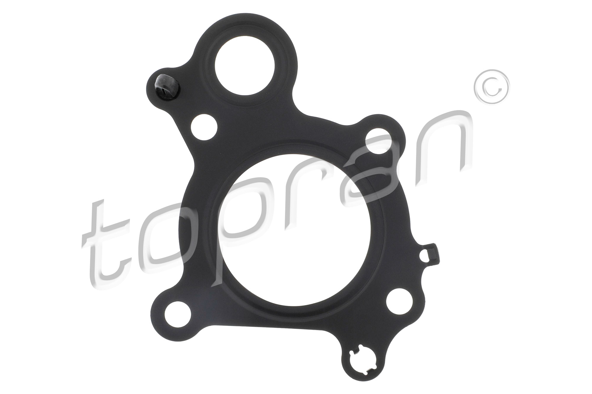 Seal, EGR valve - 411 267 TOPRAN