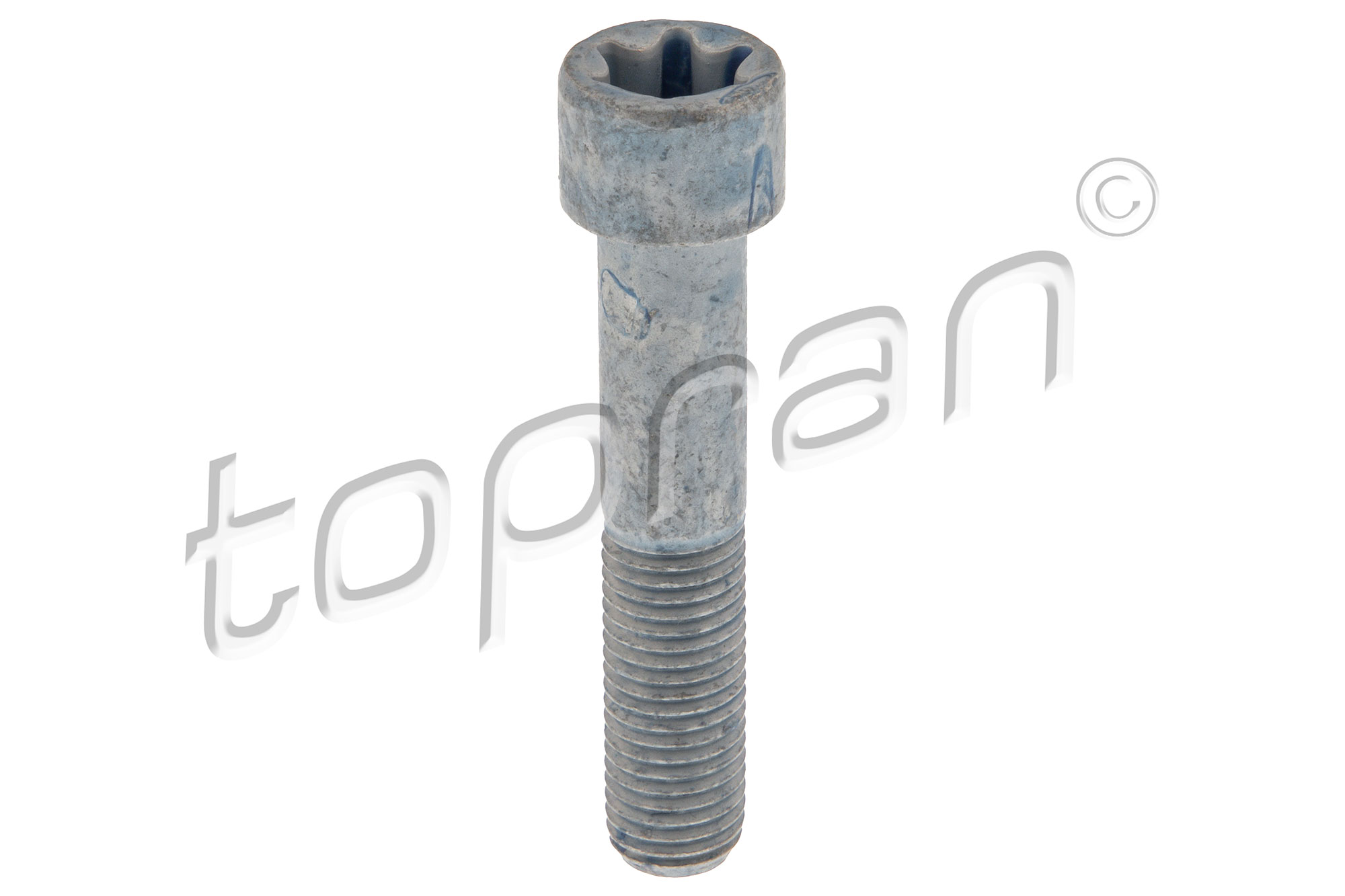 Bullone/Vite - 411 095 TOPRAN