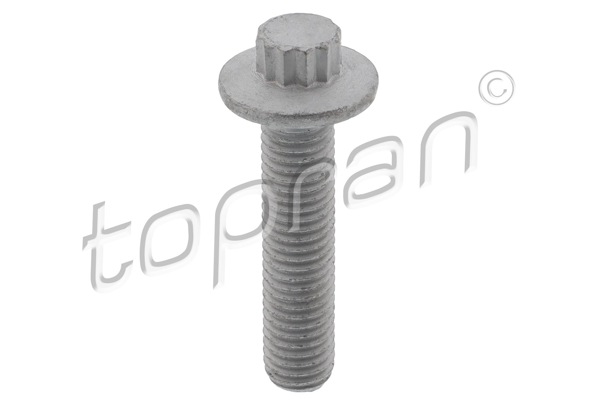 Bullone/Vite - 120 977 TOPRAN