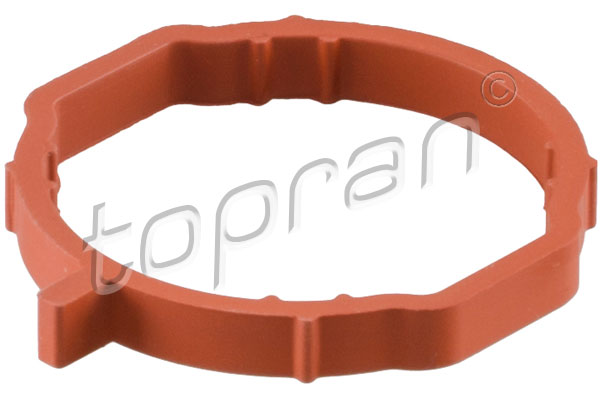 Gasket, intake manifold - 113 889 TOPRAN