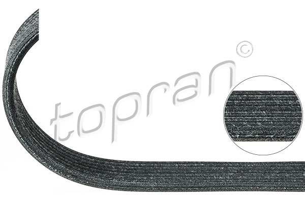 V-Ribbed Belt - 100 124 TOPRAN