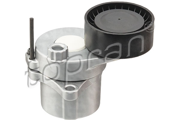 Tendicinghia, Cinghia Poly-V - 408 446 TOPRAN