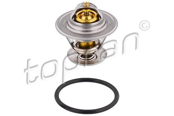 Thermostat, coolant - 202 313 TOPRAN