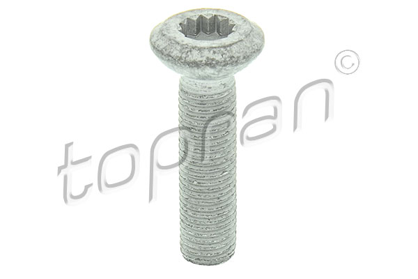 Bullone/Vite - 116 274 TOPRAN