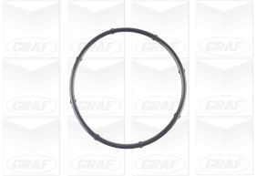 Water Pump - PA1125 GRAF