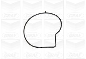 Water Pump - PA1139 GRAF