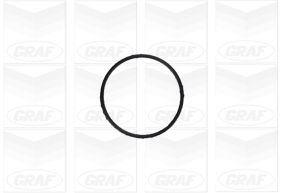 Water Pump - PA1155 GRAF