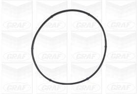 Water Pump - PA541A GRAF