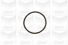Pompa acqua - PA654 GRAF