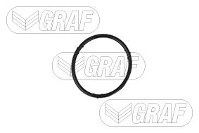 Water Pump - PA765 GRAF