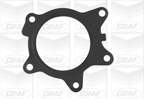 Water Pump - PA890 GRAF