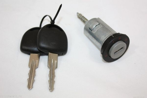 Lock Cylinder, ignition lock - 100082810 AUTOMEGA