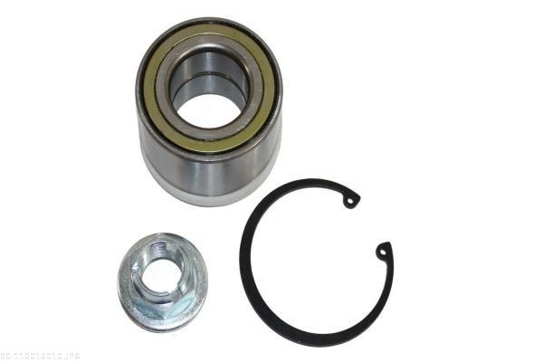 Wheel Bearing Kit - 110016010 AUTOMEGA