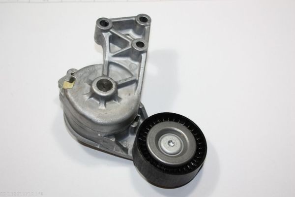Braccio tenditore, Cinghia Poly-V - 130015710 AUTOMEGA
