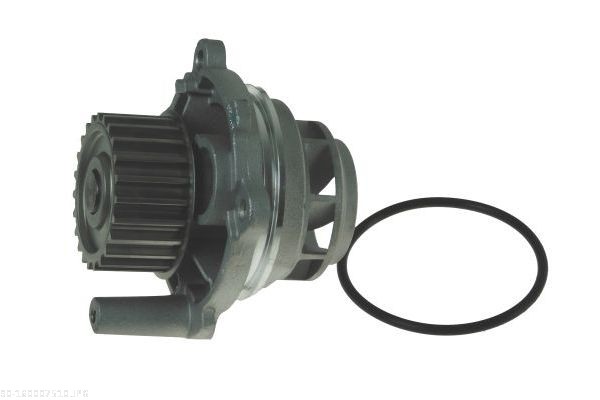 Pompa acqua - 160007510 AUTOMEGA