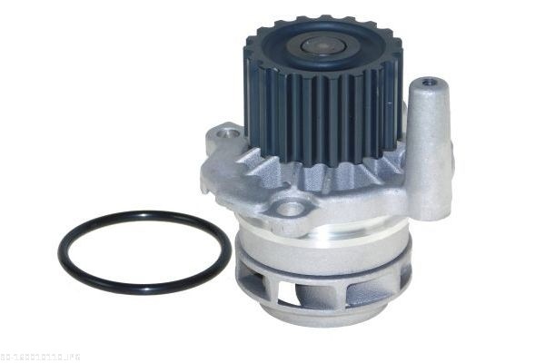 Water Pump - 160010110 AUTOMEGA