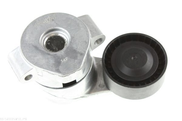 Braccio tenditore, Cinghia Poly-V - 160025810 AUTOMEGA