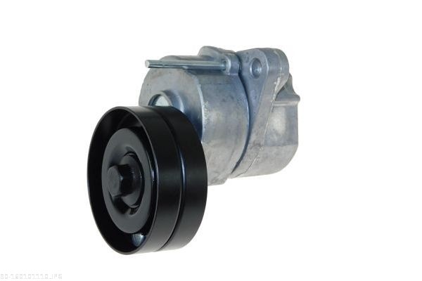 Braccio tenditore, Cinghia Poly-V - 160101110 AUTOMEGA