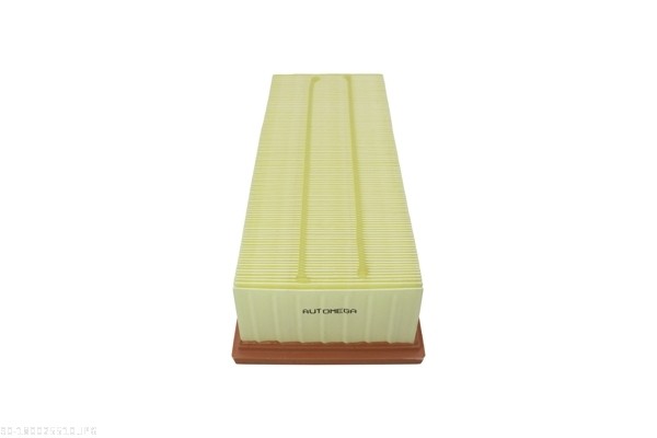 Air Filter - 180025510 AUTOMEGA