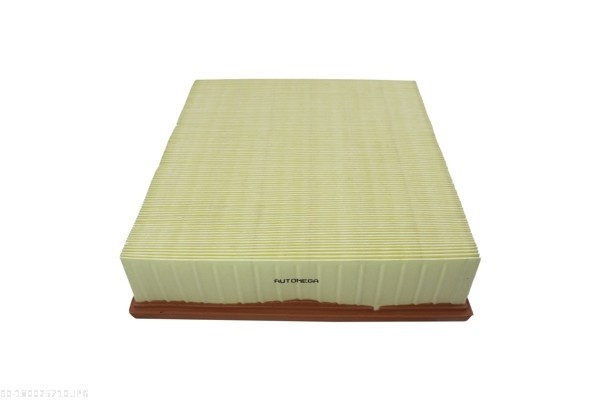 Air Filter - 180025710 AUTOMEGA