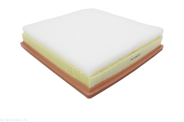 Air Filter - 180031810 AUTOMEGA