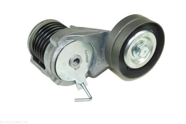 Tensioner Lever, V-ribbed belt - 210155810 AUTOMEGA