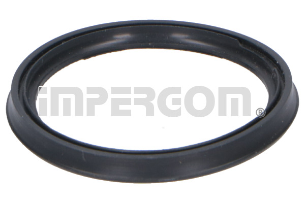 Seal Ring, turbo air hose - 20289 ORIGINAL IMPERIUM