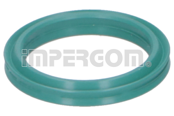 Seal Ring, turbo air hose - 20293 ORIGINAL IMPERIUM