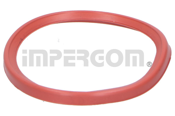 Seal Ring, turbo air hose - 20295 ORIGINAL IMPERIUM