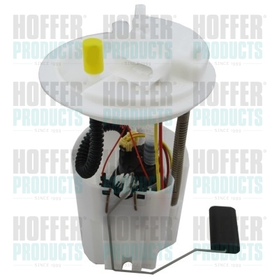 Fuel Feed Unit - 7507067E HOFFER