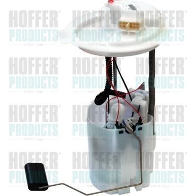 Fuel Feed Unit - 7507316E HOFFER