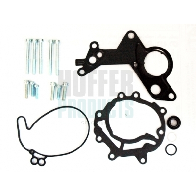 Repair Set, vacuum pump (braking system) - 91111 HOFFER