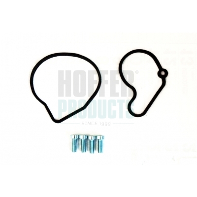 Repair Set, vacuum pump (braking system) - 91114 HOFFER