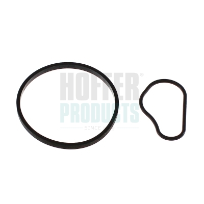 Gasket, vacuum pump - 91252 HOFFER