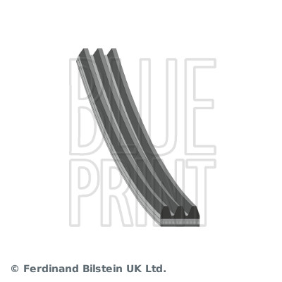 V-Ribbed Belt - AD03R641 BLUE PRINT