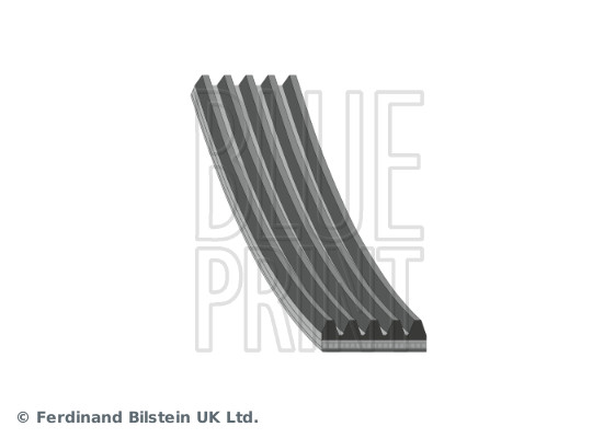 V-Ribbed Belt - AD05R1050 BLUE PRINT