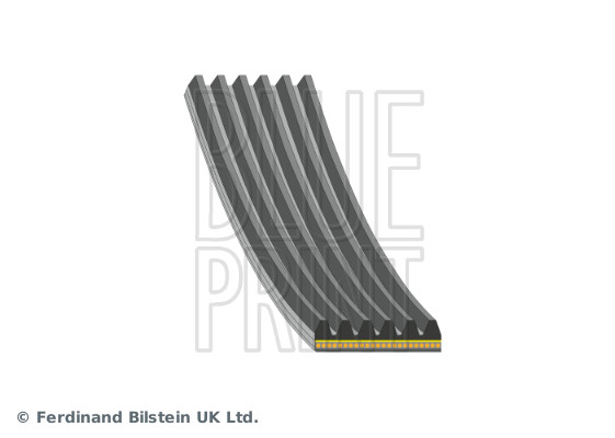 Cinghia Poly-V - AD06A1194 BLUE PRINT