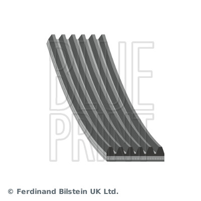 V-Ribbed Belt - AD06R2015 BLUE PRINT
