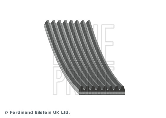 V-Ribbed Belt - AD08R1173 BLUE PRINT